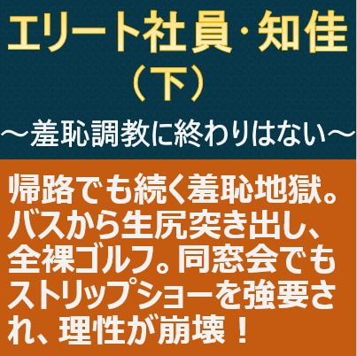 エリート社員・知佳(下)～羞恥調教に終わりはない～