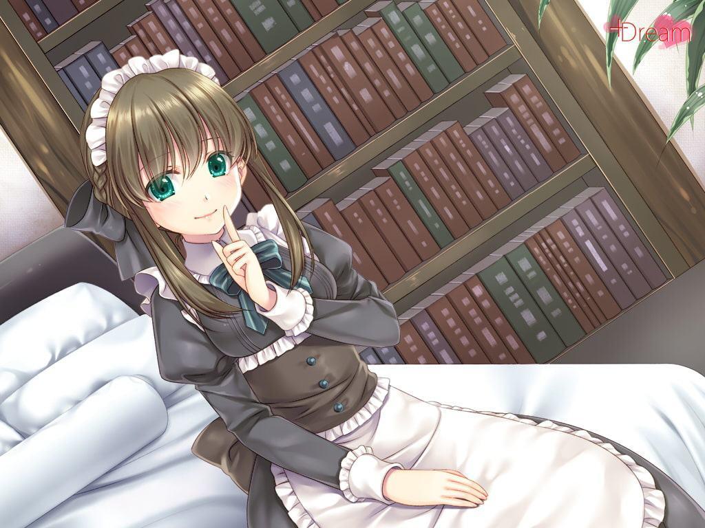 貴方専属メイド～従順で辛辣な愛のご奉仕～