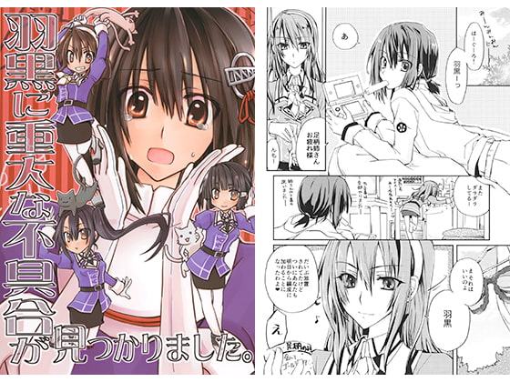 羽黒に重大な不具合が見つかりました。