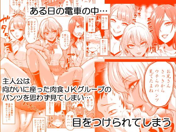 感覚のパラフィリア ～肉食系JKたちにチ●ポの感覚を支配されたら～
