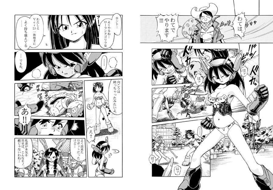 バッタと呼ばれた男DX Miracle Boy 4