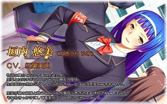 触手に狙われたJ○リナの肉体～淫欲魔法聖闘士～ムービー版