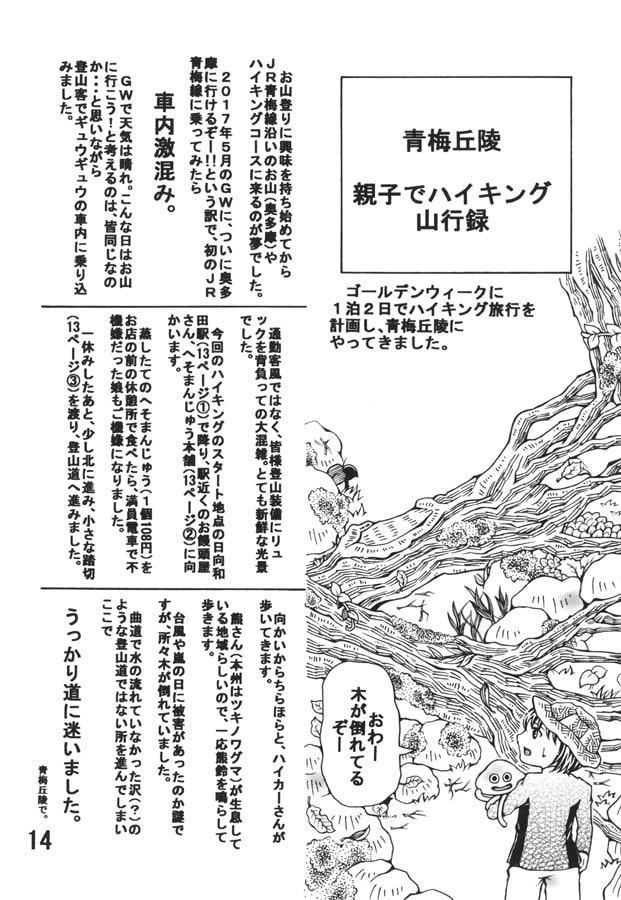 山森山行録 低山色々さんぽ編