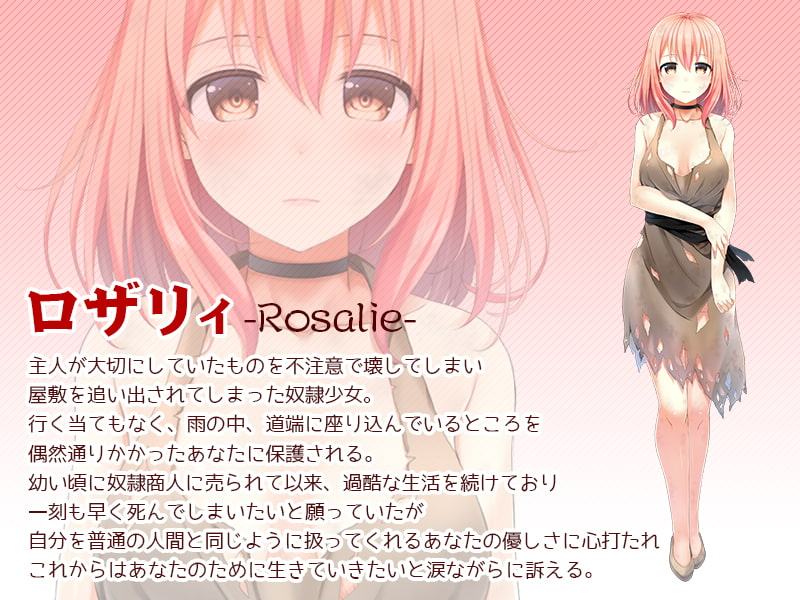 奴隷少女ロザリィ～貧しい絵描きのあなたが捨てられた少女と出会い、一緒に暮らし、やがて結婚するまでの物語～