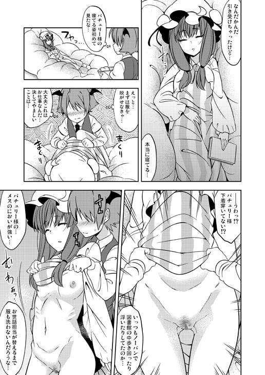 お身体に触りますよパチュリー様