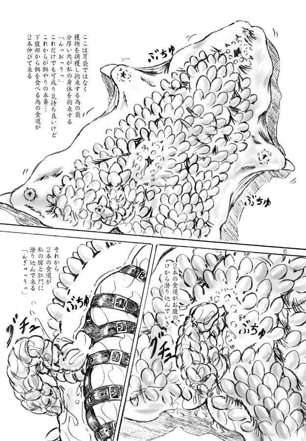 餌のやり方(おまけペーパー付)