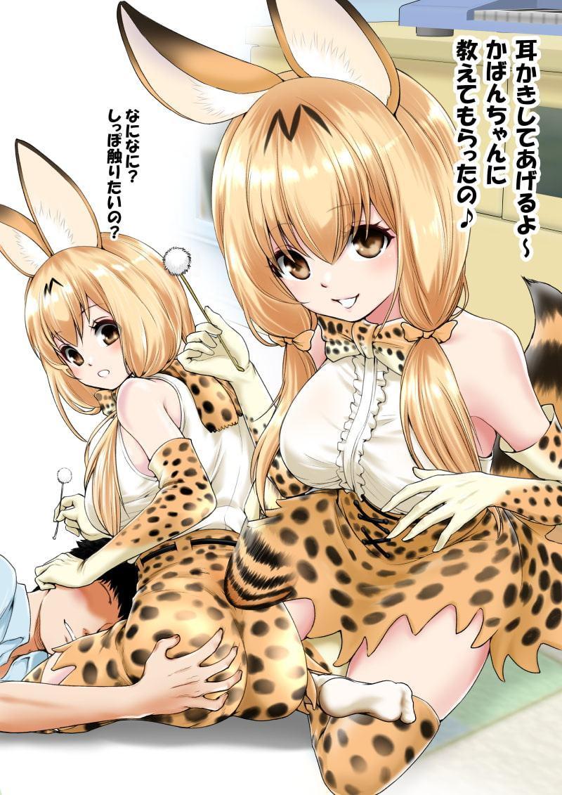 大人サーバルちゃんとあんなことこんなこと