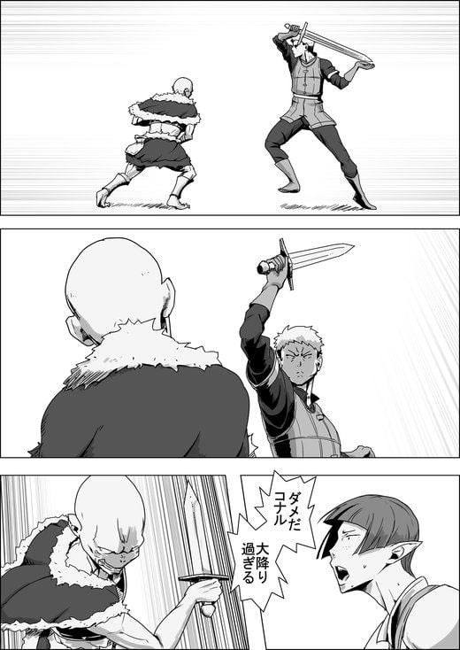 まだ題名のないファンタジー 地味なエルフと見習いの戦士IX