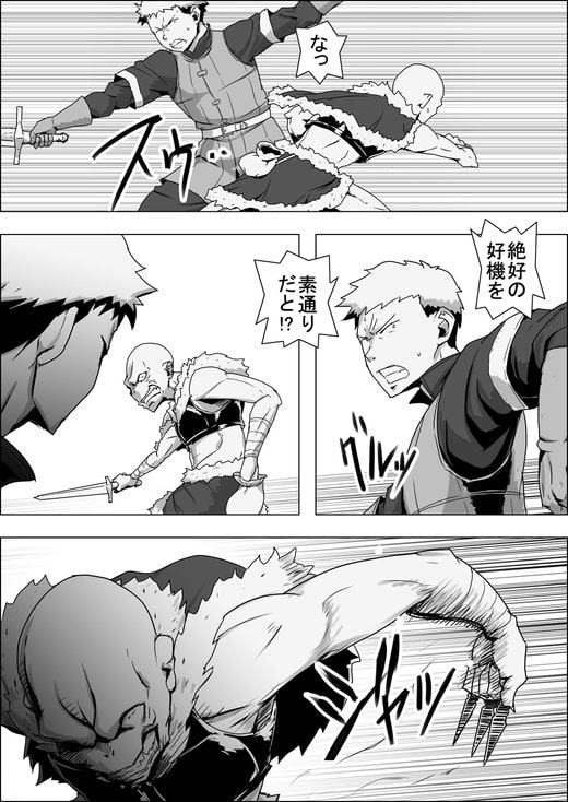 まだ題名のないファンタジー 地味なエルフと見習いの戦士IX