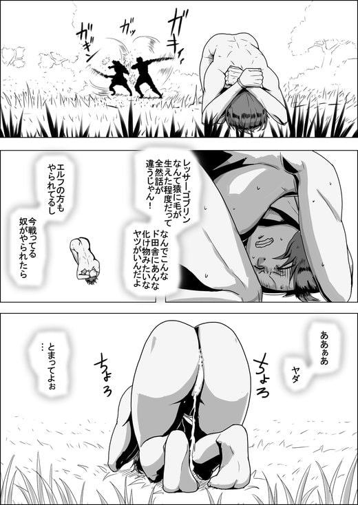 まだ題名のないファンタジー 地味なエルフと見習いの戦士IX