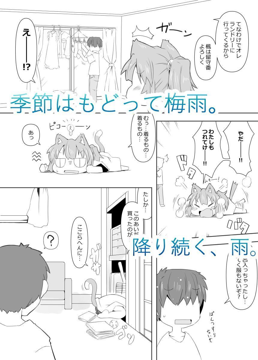 娘猫と遊ぼ!-あめあそび編-