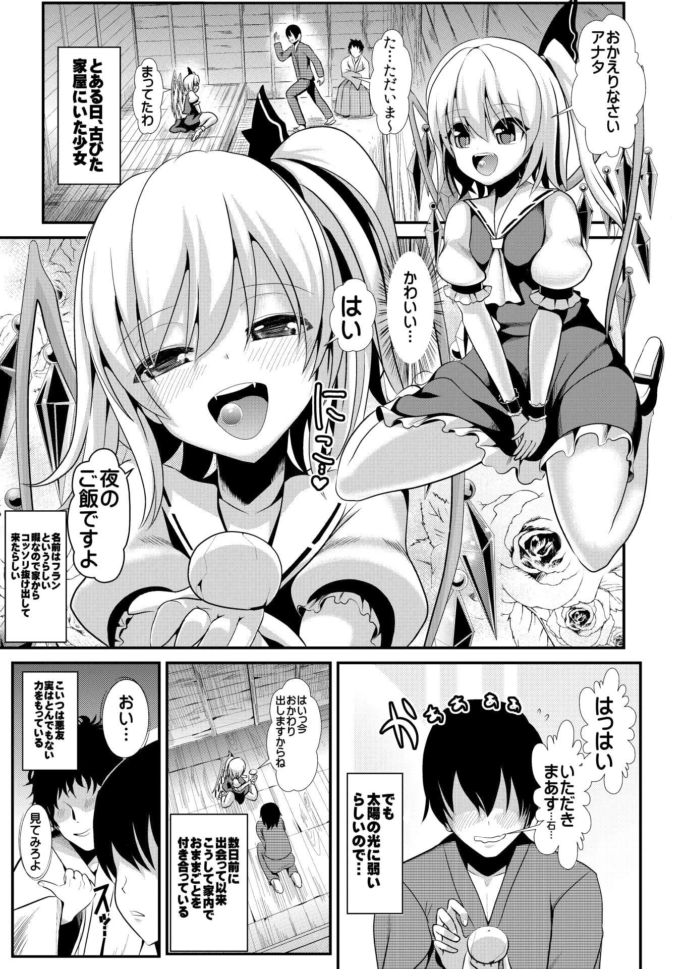 東方時姦10,11 さとり フラン