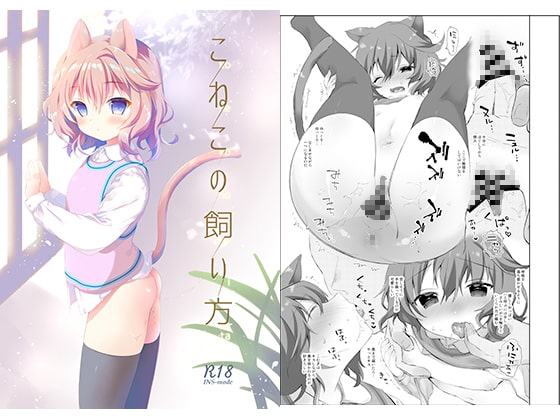 こねこの飼い方