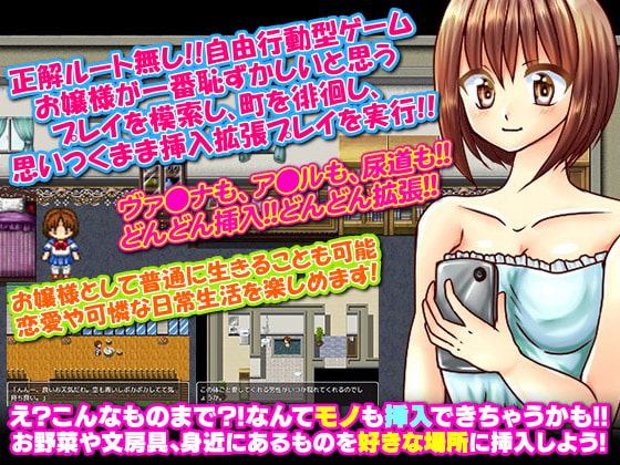 露出拡張deごきげんよう お嬢様は挿入露出マニア