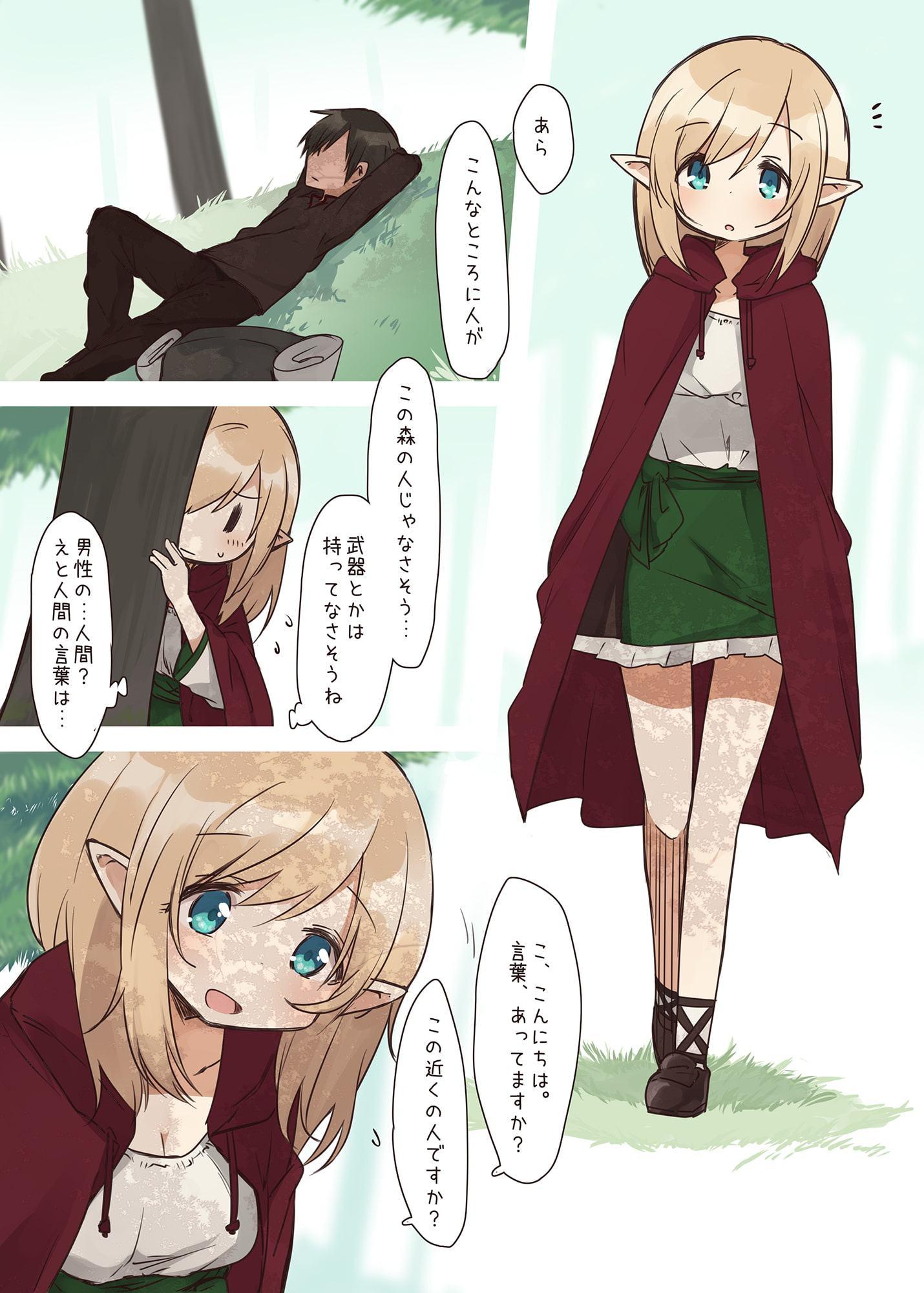 エルフの住む森。