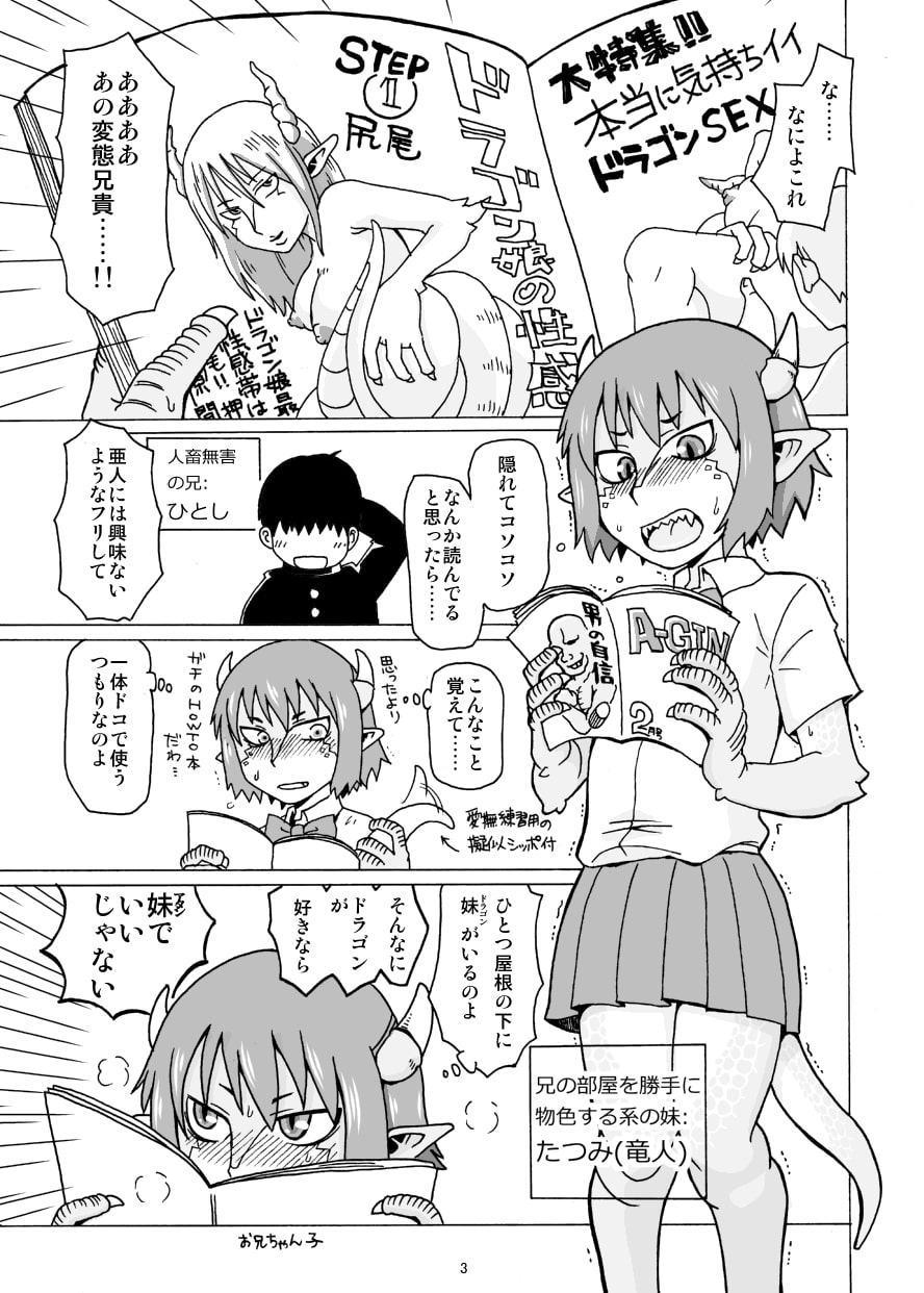 お兄ちゃんはドラゴンなら誰でもいいんでしょ。