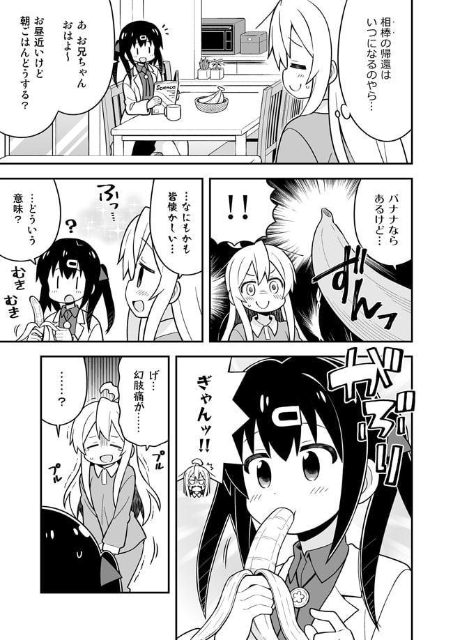 お兄ちゃんはおしまい!特別編