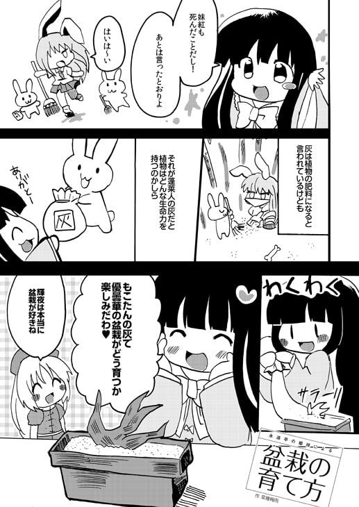 永遠亭の姫様による盆栽の育て方