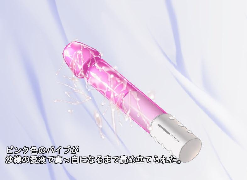 姉妹アイドル ～淫らなる枕営業～