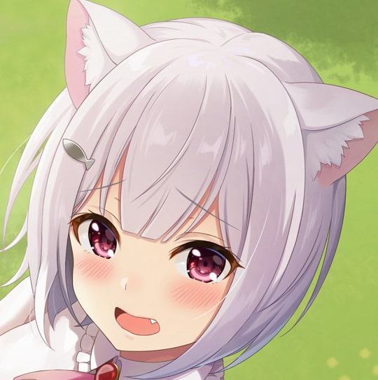 マスター、これからもずっと一緒ですよ～出会った奴隷の猫耳少女とまったり同棲ライフ～