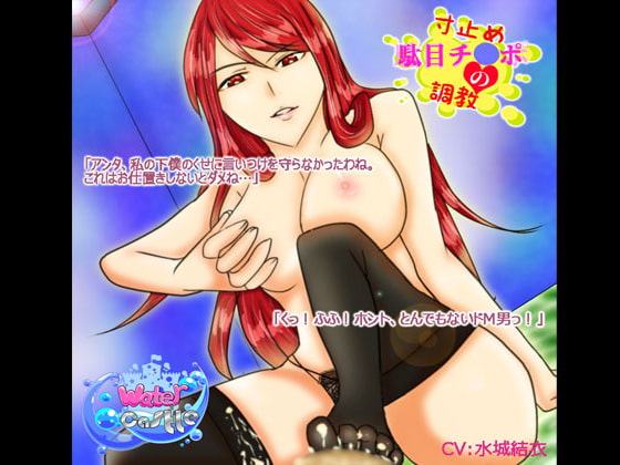 寸止め駄目チ○ポの調教