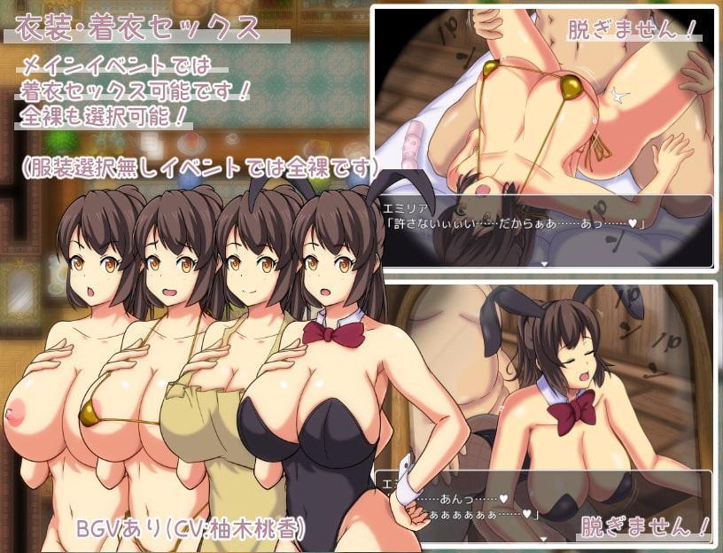 エミリアの宿屋 ～ルージの母親 ネトラセ日誌～