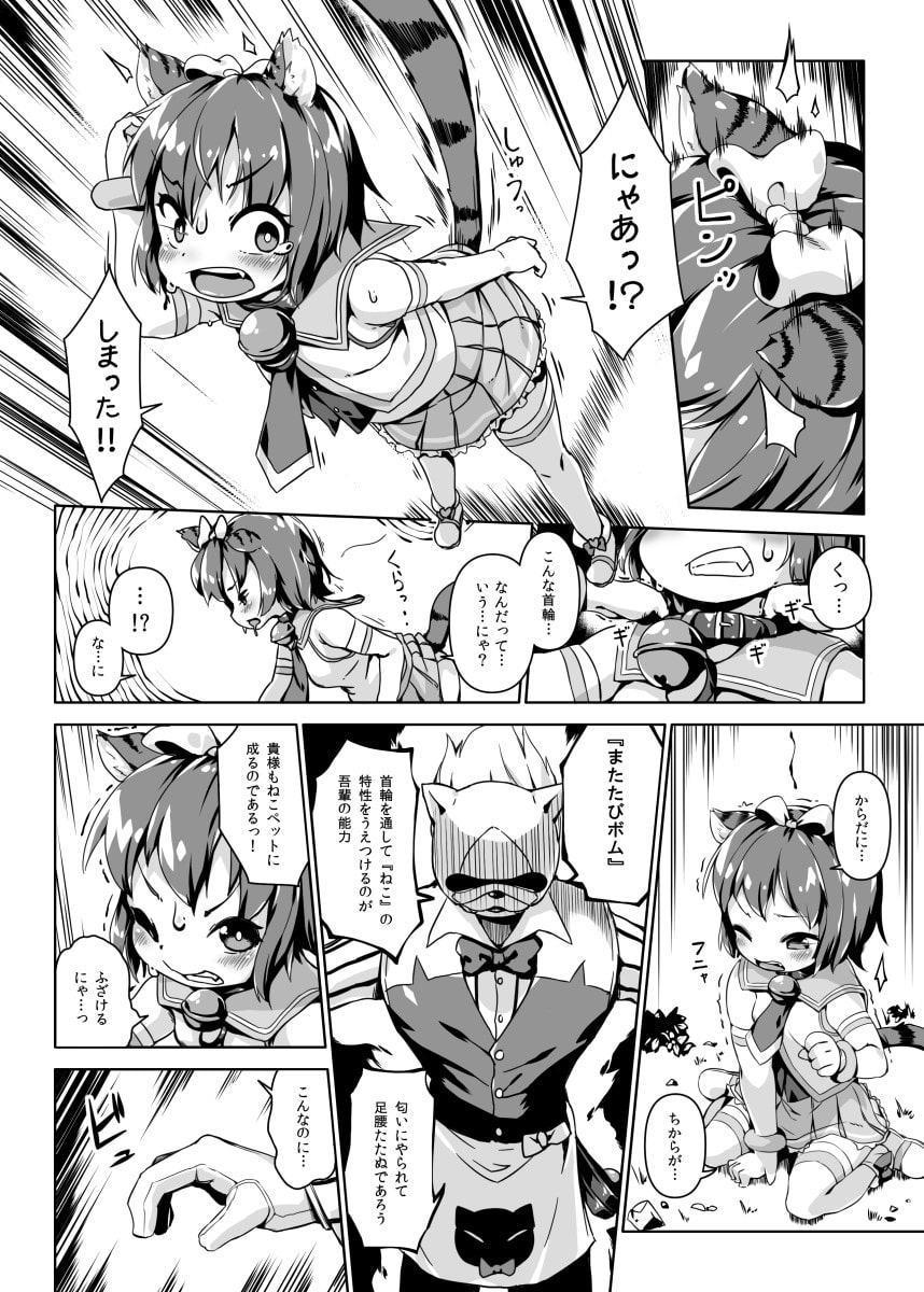 ねこ堕ちシャインフェアリーズ