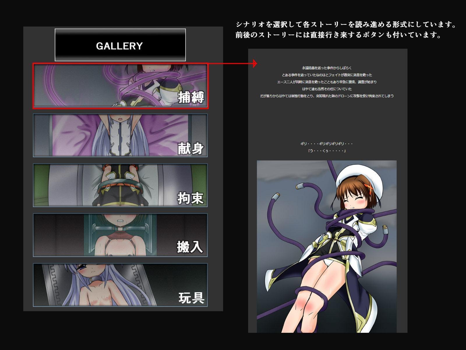 魔法少女完全拘束～はやて&リィンフォースII編～