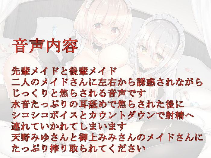 メイドさんのWご奉仕～私たちに遊ばせてください～