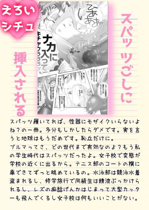 29_ぬこぬこむすめ12.5