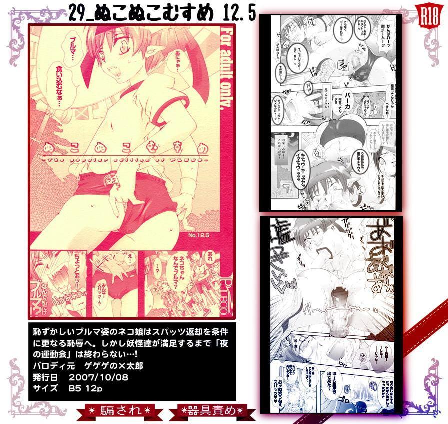 29_ぬこぬこむすめ12.5