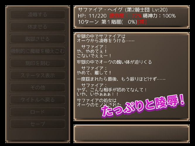 メイジズメイズ ～ある冒険者たちの記録～ for MAC