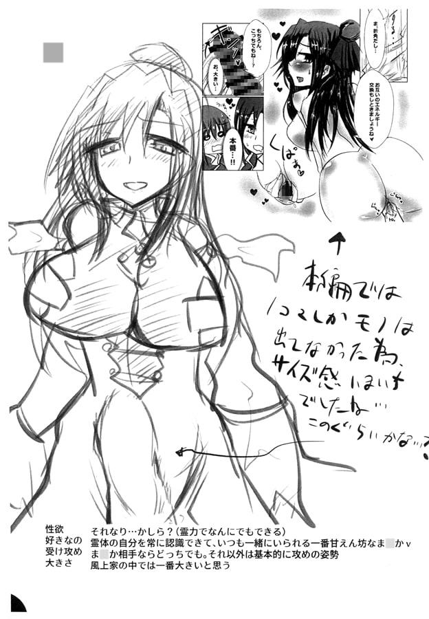 C95の補足的な本