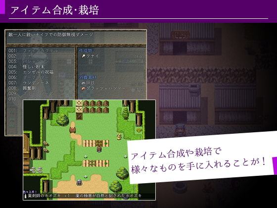 リサと淫魔のグリモワール