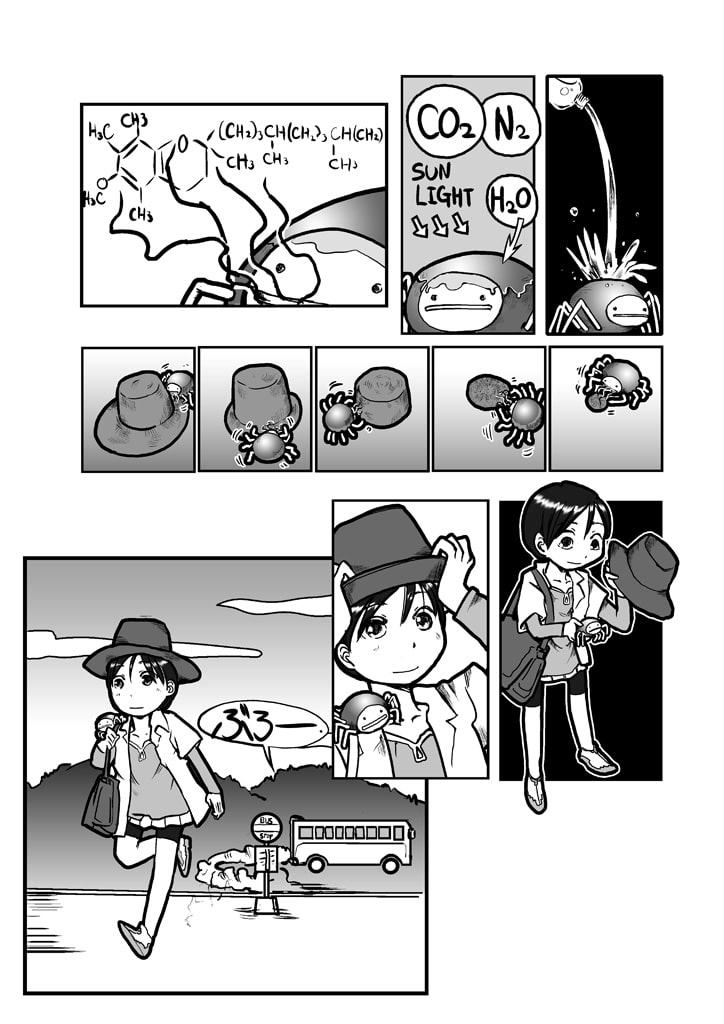 蜘蛛の糸リゾート