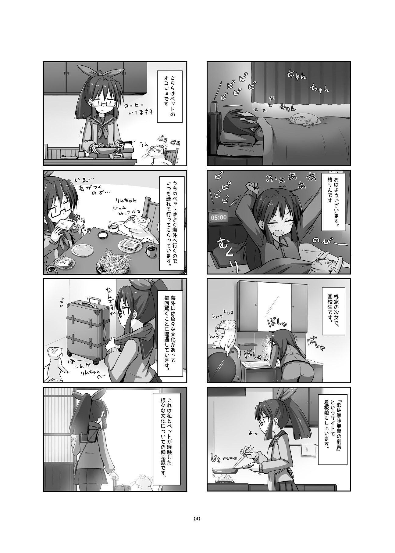 文化の逆転 ～柊りんの四コマ劇場～