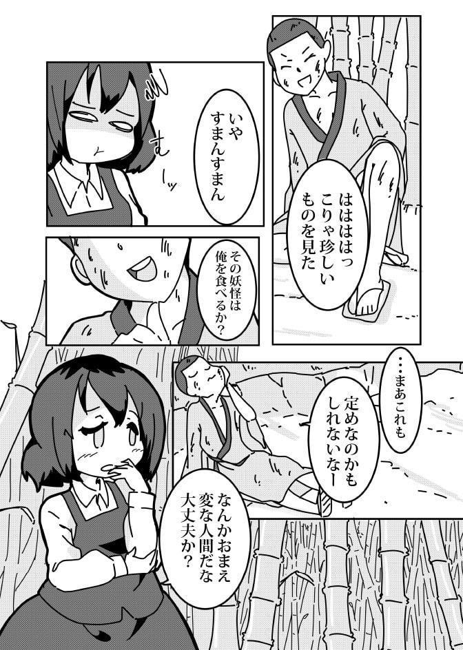 東方宵闇姫飾物語