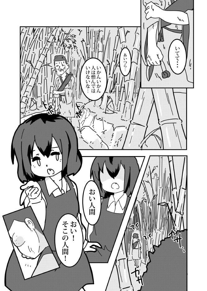 東方宵闇姫飾物語