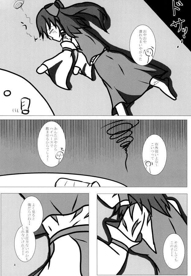 博霊の巫女なれば