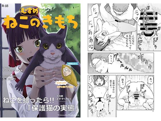 ねこ（むすめ）のきもち