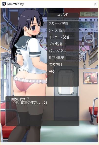 ～MolesterPlay～・電車・逃げ場のない羞恥