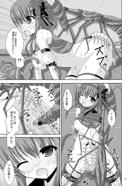 ホーリーの害虫船探索