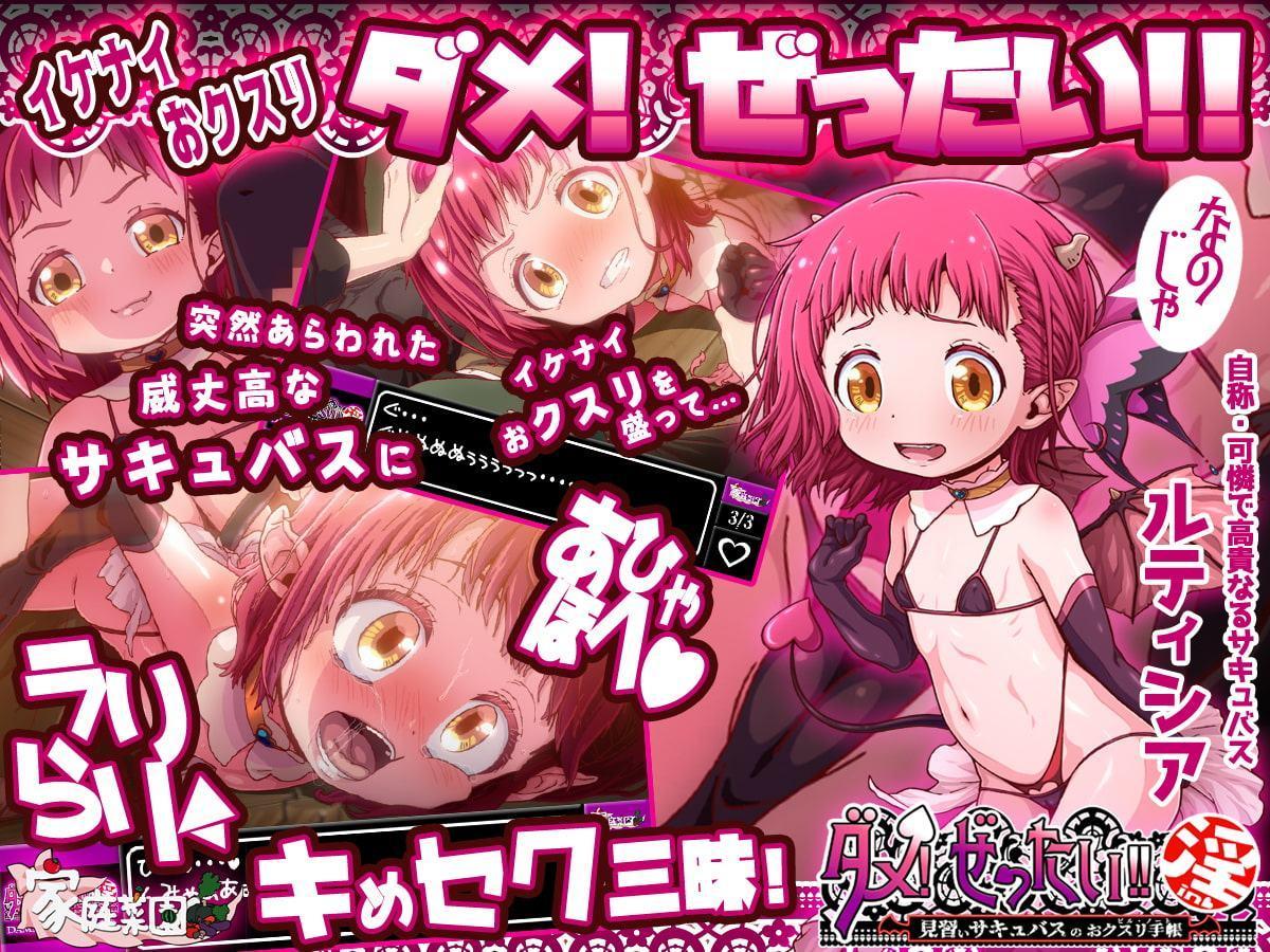 ダメ!ぜったい!!淫 〜見習いサキュバスのおクスリ手帳〜