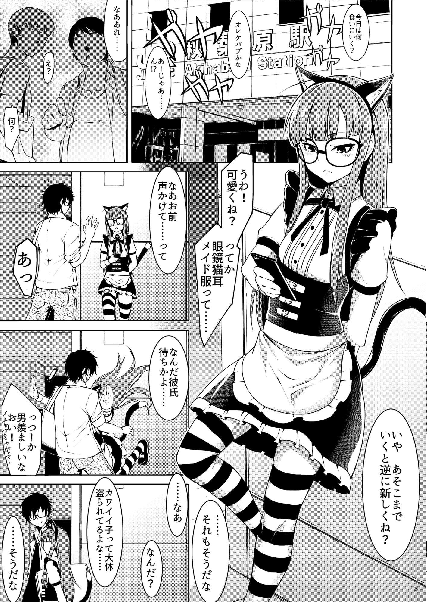 ネコミミメイド双葉の本