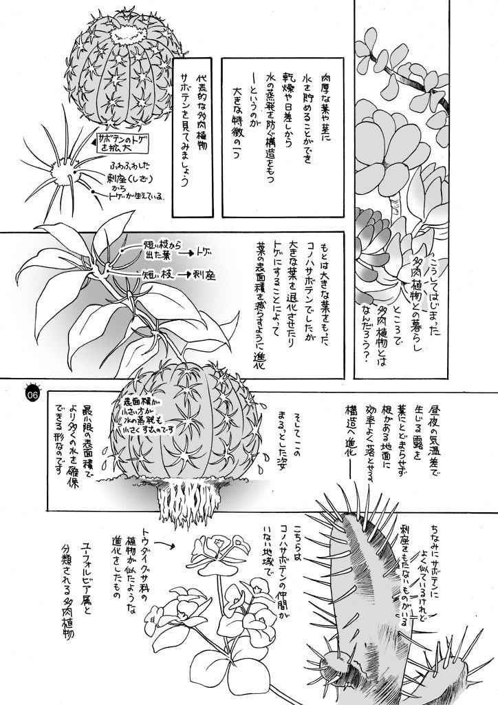 もの申さぬ肉たちとの戯れ