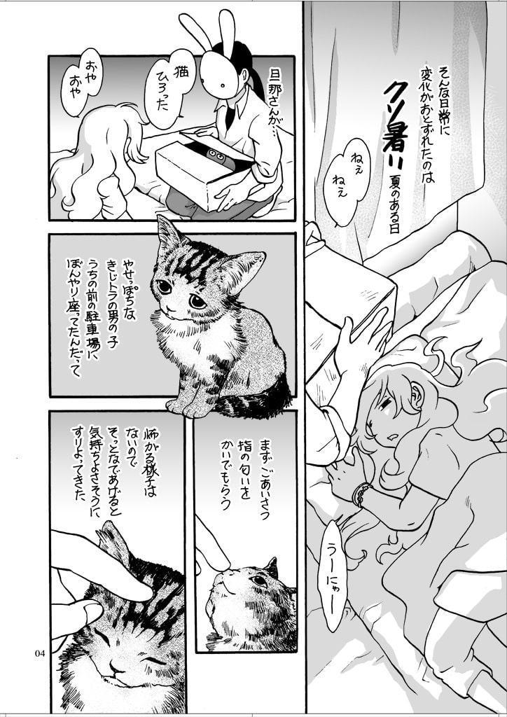 ねこと