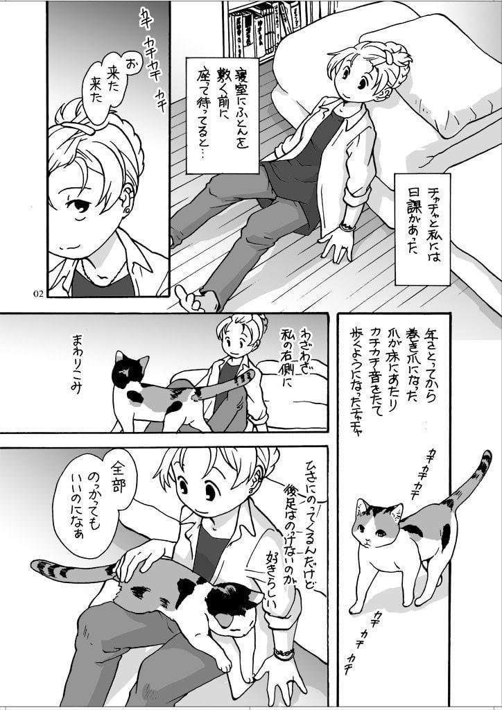 ねこと