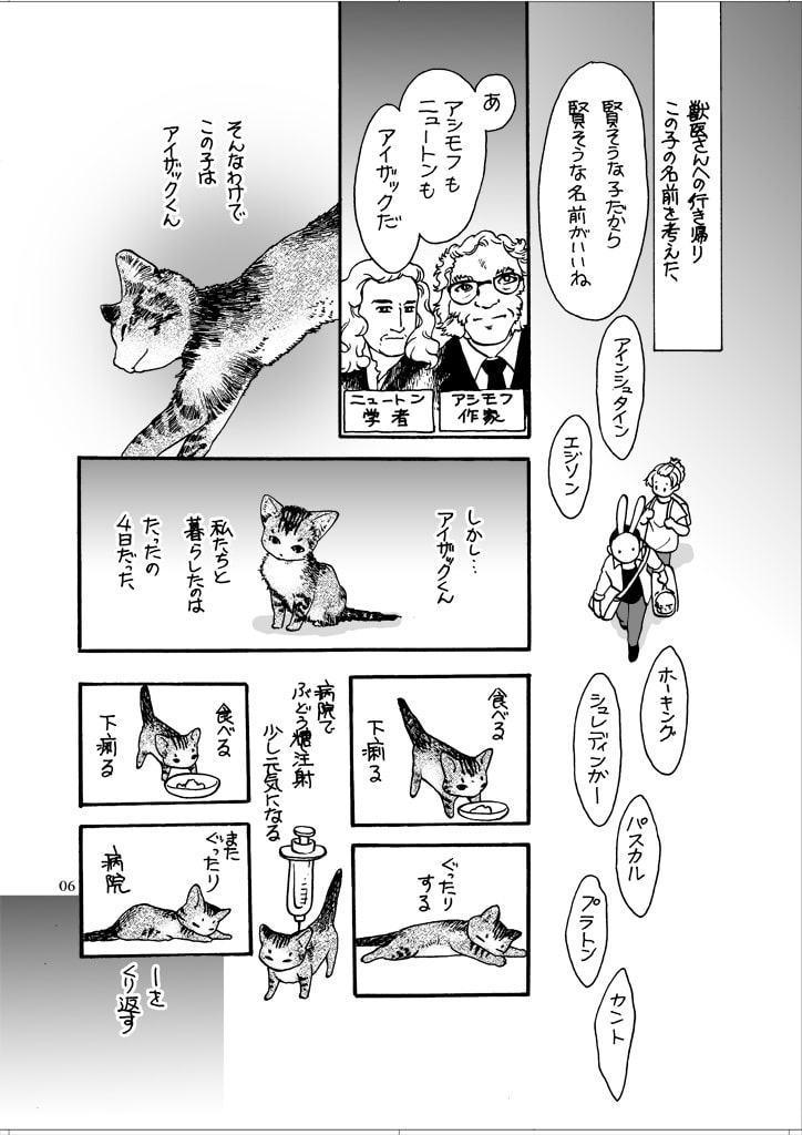 ねこと