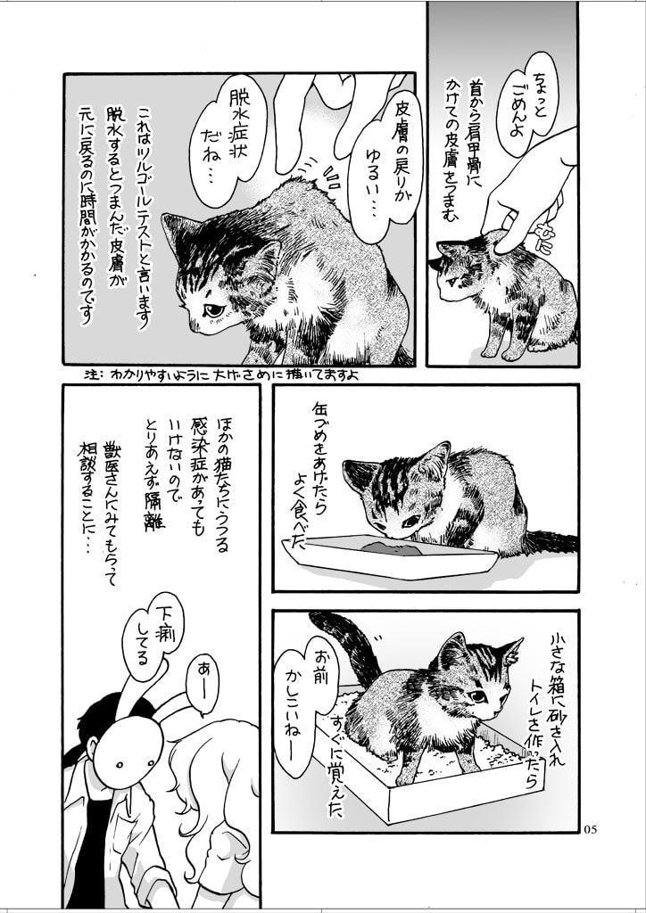 ねこと