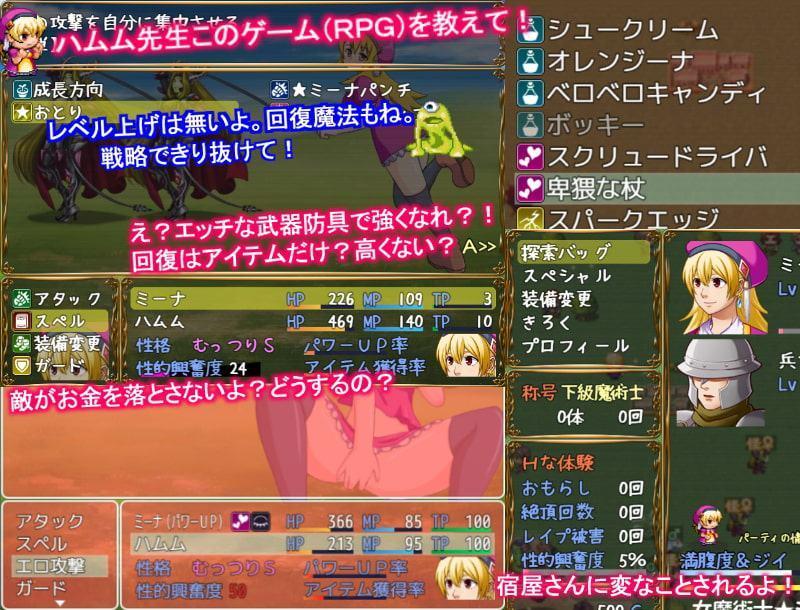 女魔術士★ミーナS